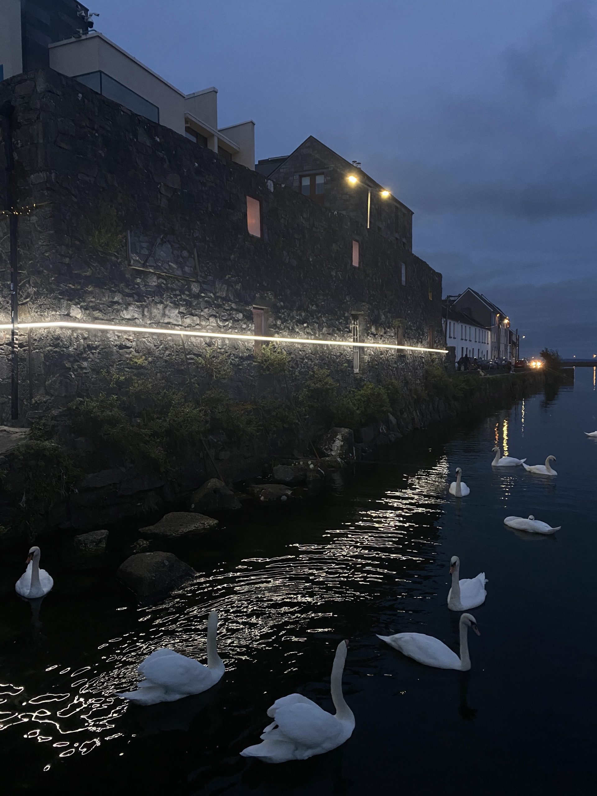 LED lights around 1.5m above sea level along the Spanish Arch in Galway, with a group of swans swimming nearby.